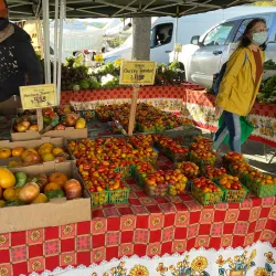 Saratoga Farmers' Market - Saratoga