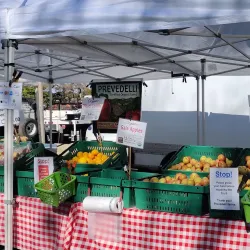 Saratoga Farmers' Market - Saratoga