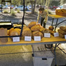 Saratoga Farmers' Market - Saratoga