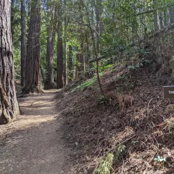 Villa Montalvo - Saratoga