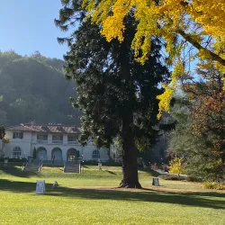 Villa Montalvo - Saratoga