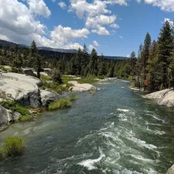 Sierra National Forest - Sonora