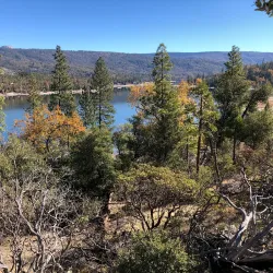 Sierra National Forest - Sonora