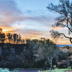 Sonora Historic Downtown - Sonora