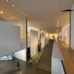 Anderson Collection at Stanford University - Stanford