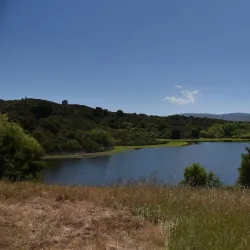 Jasper Ridge Biological Preserve - Stanford