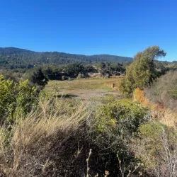 Jasper Ridge Biological Preserve - Stanford