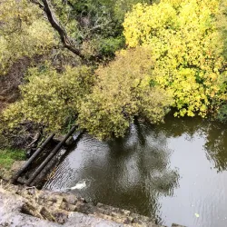 Jasper Ridge Biological Preserve - Stanford