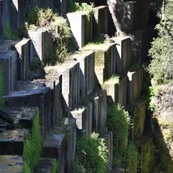 Jasper Ridge Biological Preserve - Stanford