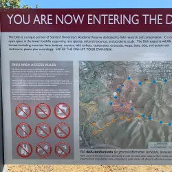 Stanford Dish - Stanford