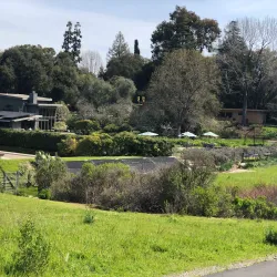 Stanford Dish - Stanford