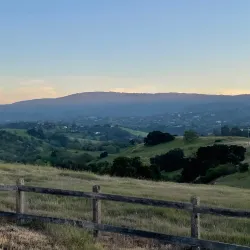 Stanford Dish - Stanford