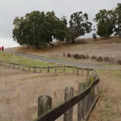 Stanford Dish - Stanford