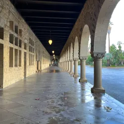 Stanford University Campus - Stanford