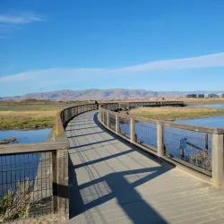 Baylands Park - Sunnyvale