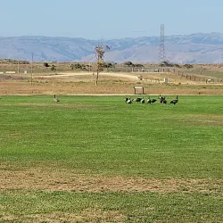 Baylands Park - Sunnyvale