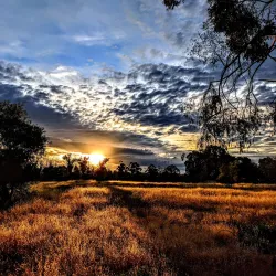 Baylands Park - Sunnyvale