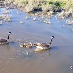 Baylands Park - Sunnyvale