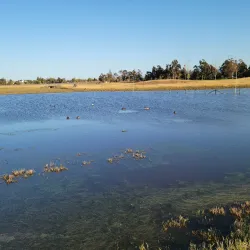 Baylands Park - Sunnyvale