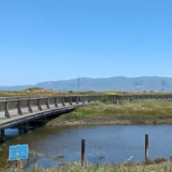 Baylands Park - Sunnyvale