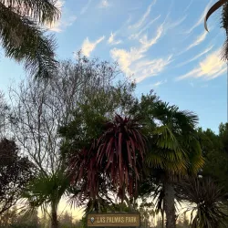 Las Palmas Park Skate Park - Sunnyvale
