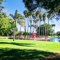 Las Palmas Park Skate Park - Sunnyvale