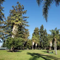 Las Palmas Park Tennis Courts - Sunnyvale
