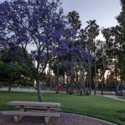 Las Palmas Park - Sunnyvale