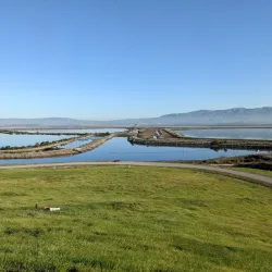 Sunnyvale Bay Trail - Sunnyvale
