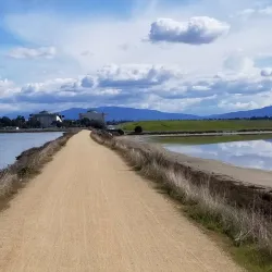 Sunnyvale Bay Trail - Sunnyvale