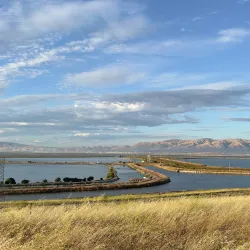 Sunnyvale Bay Trail - Sunnyvale