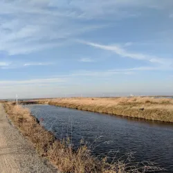 Sunnyvale Bay Trail - Sunnyvale