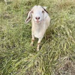 Sunnyvale Bay Trail - Sunnyvale