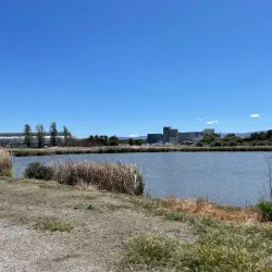 Sunnyvale Bay Trail - Sunnyvale