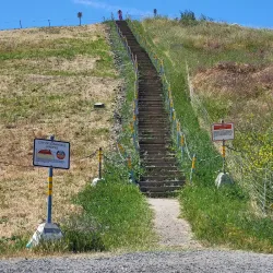 Sunnyvale Bay Trail - Sunnyvale
