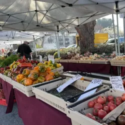 Sunnyvale Farmers Market - Sunnyvale