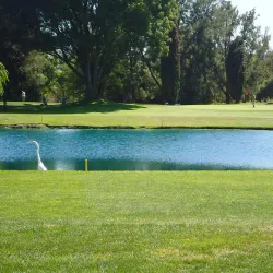 Sunnyvale Golf Course - Sunnyvale