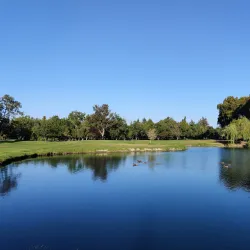 Sunnyvale Golf Course - Sunnyvale