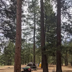 Eagle Lake - Susanville