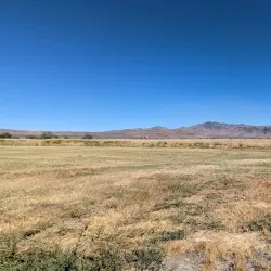 Honey Lake Wildlife Area - Susanville