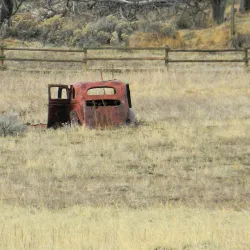 Honey Lake Wildlife Area - Susanville