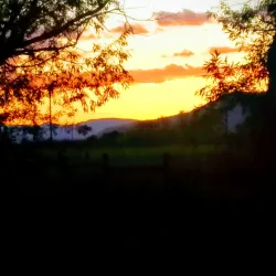 Honey Lake Wildlife Area - Susanville