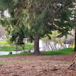 Lassen County Historical Society Museum - Susanville