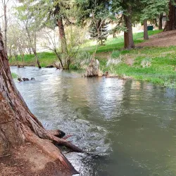 Lassen County Historical Society Museum - Susanville
