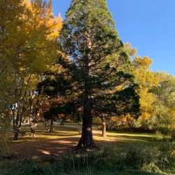 Lassen County Historical Society Museum - Susanville