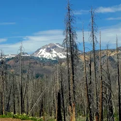 Lassen National Forest - Susanville