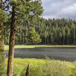Lassen National Forest - Susanville