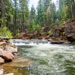Lassen National Forest - Susanville