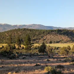 Susanville City Park - Susanville