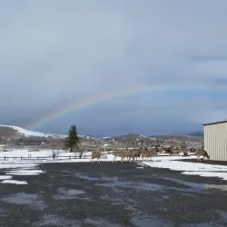 Susanville Golf Course - Susanville